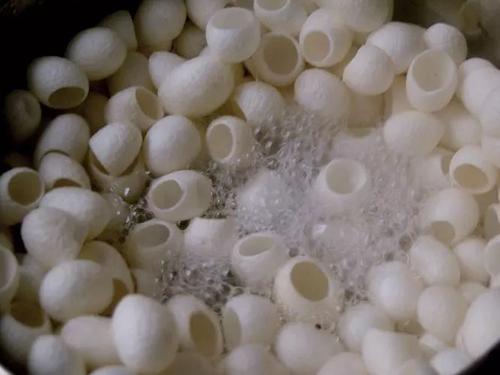 蠶繭分類有哪些呢？你都知道嗎？